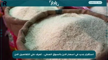 استقرار جديد في أسعار الأرز بالسوق المحلي.. تعرف على التفاصيل الآن